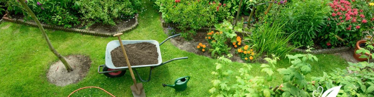 Why You Should Switch to Organic Fertilizers For Your Landscape