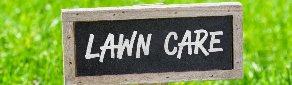 5 Lawn Care Tips